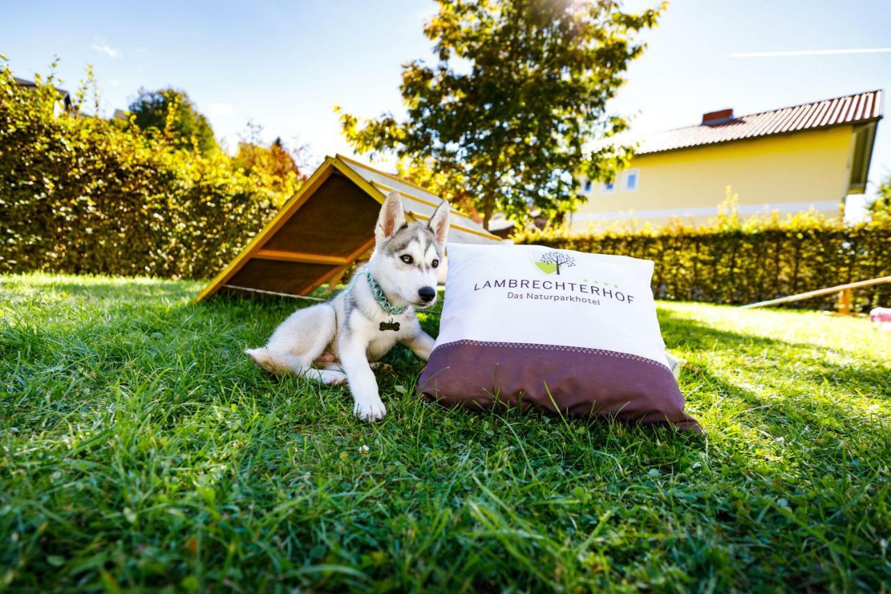 Lambrechterhof - Das Naturparkhotel ซังคท์ลัมเบร็คท์ ภายนอก รูปภาพ