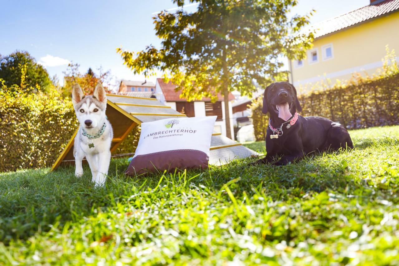 Lambrechterhof - Das Naturparkhotel ซังคท์ลัมเบร็คท์ ภายนอก รูปภาพ